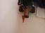 Immagine 6