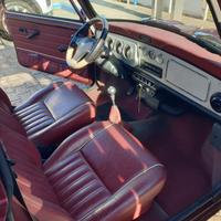 Mini 1.3 cat  40' Anniversario