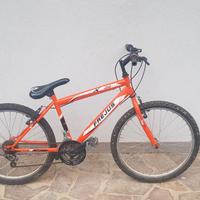 bicicletta frejus 