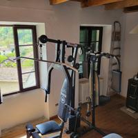 Palestra Multifunzione YORK