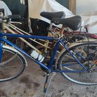 Biciclette uomo donna