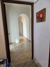 Luminoso appartamento