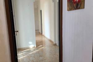 Luminoso appartamento