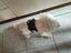 Immagine 5