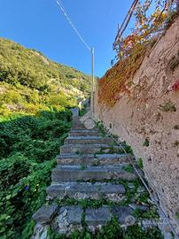 CASA INDIPENDENTE A MINORI