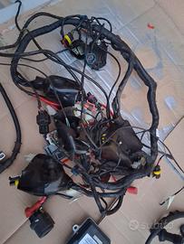 impianto elettrico RKF 125