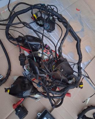 impianto elettrico RKF 125