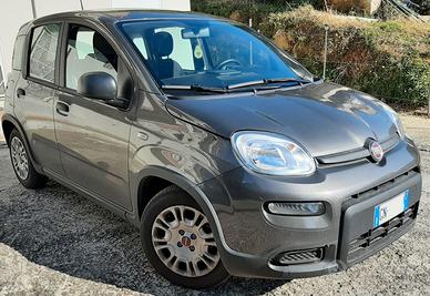 FIAT Panda 2023 hybrid
