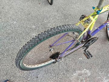 Bicicletta