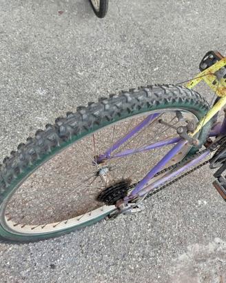 Bicicletta
