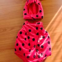 Vestito carnevale bimba