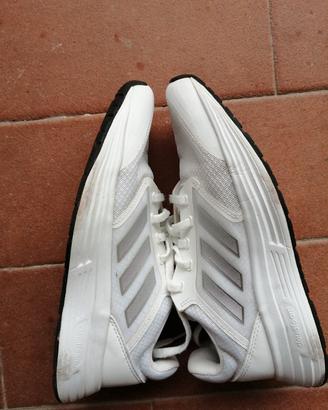 Scarpe da ginnastica Adidas cloudfoam