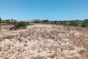 Terreno agricolo a selargius