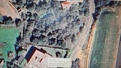 Terreno edificabile Poggio dei Pini