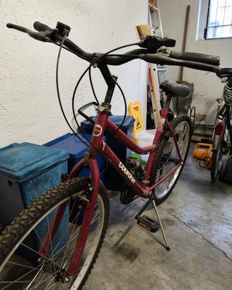 bicicletta 