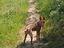Immagine 1