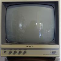 Monitor Sony Black and White SSM-121CE