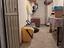 Immagine 22