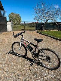 Bicicletta ragazzo mt.wb 780 wega bike