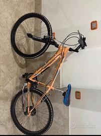 Bicicletta maschile Lombardo