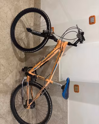 Bicicletta maschile Lombardo