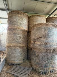 Rotoli di fieno miscuglio per cavalli