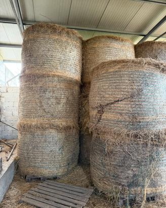 Rotoli di fieno miscuglio per cavalli