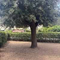 Dal 1 luglio 2025 al 15 luglio 2025 disponibile