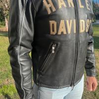Giubbotto harley Davidson