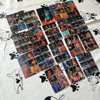 lotto animotion 23 carte wwe wrestling