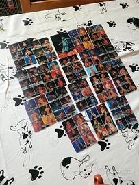 lotto animotion 23 carte wwe wrestling