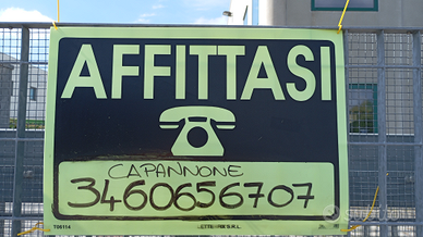 Capannone disponibile 400mq con bagno e ufficio