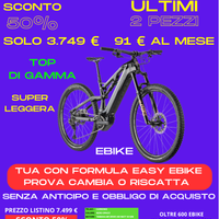 Ebike Raymon Air Ray 12.0
