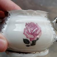 servizio da the e caffè in porcellana bavaria 