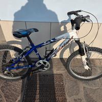 Bici bimbo 20"