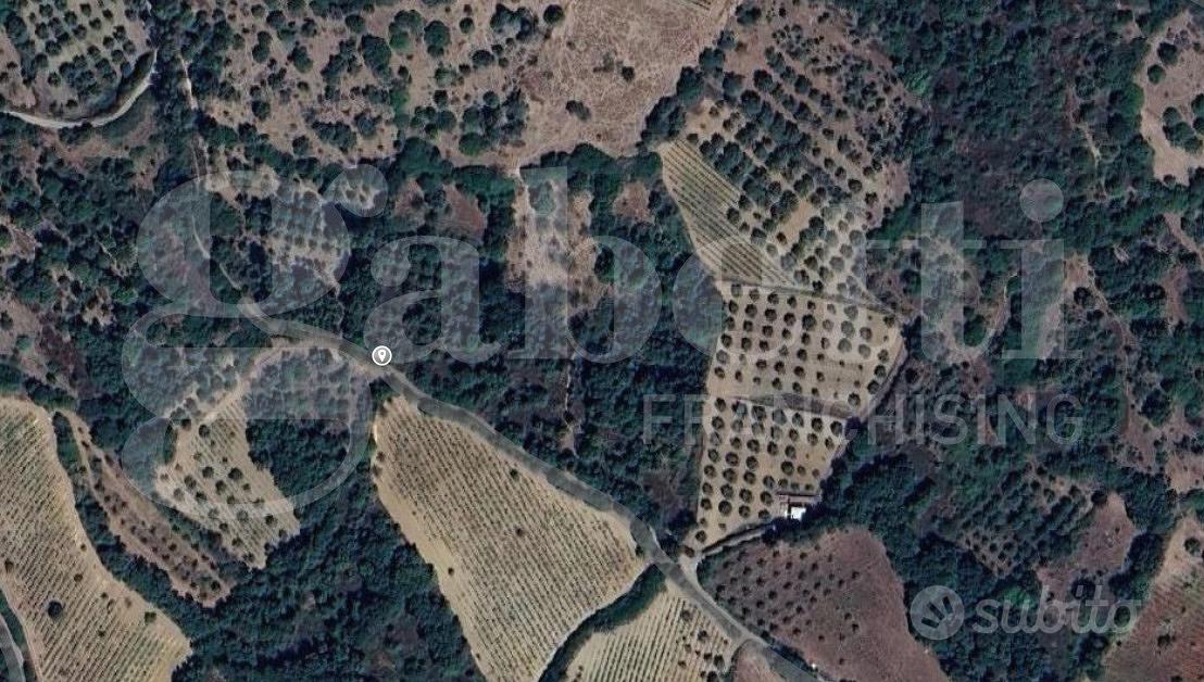 Terreno Agricolo San Basilio [Cod. rif 3330198VCG] - Vista 2