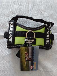 Pettorina Julius - k9