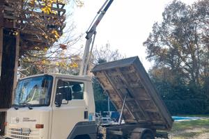 Nissan 35q ribaltabile con Gru e cestello