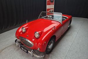 Austin Healey Altro Sprite “Frog Eye” ASI