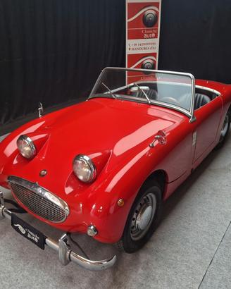 Austin Healey Altro Sprite “Frog Eye” ASI