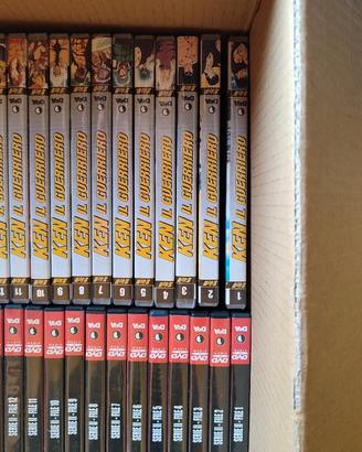 DVD Ken il guerriero 