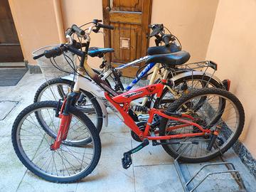 Mountain bike