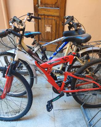 Mountain bike