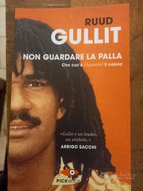 Ruud Gullit. calcio. biografia 