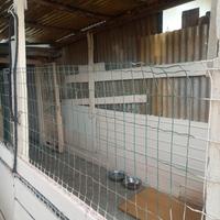 Spazio box per ricovero cane