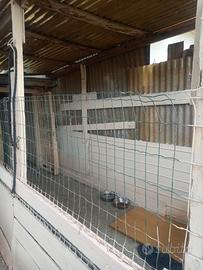 Spazio box per ricovero cane