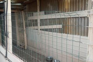 Spazio box per ricovero cane