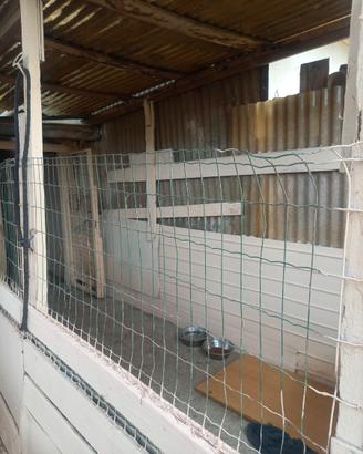 Spazio box per ricovero cane