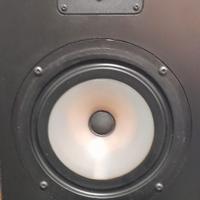Diffusori Rogers LS7 T