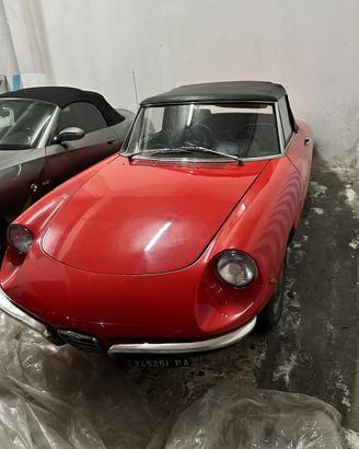 Duetto osso di seppia alfa romeo
